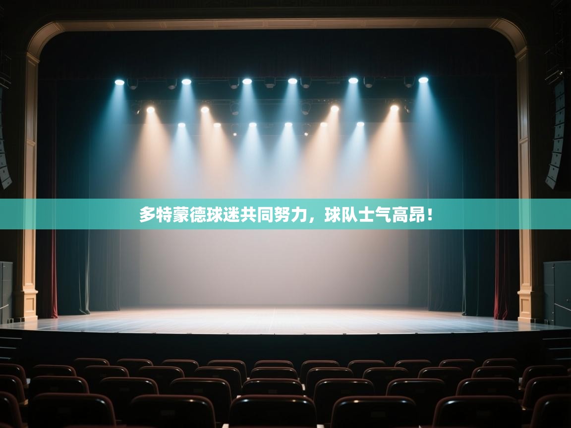 多特蒙德球迷共同努力，球队士气高昂！  第1张