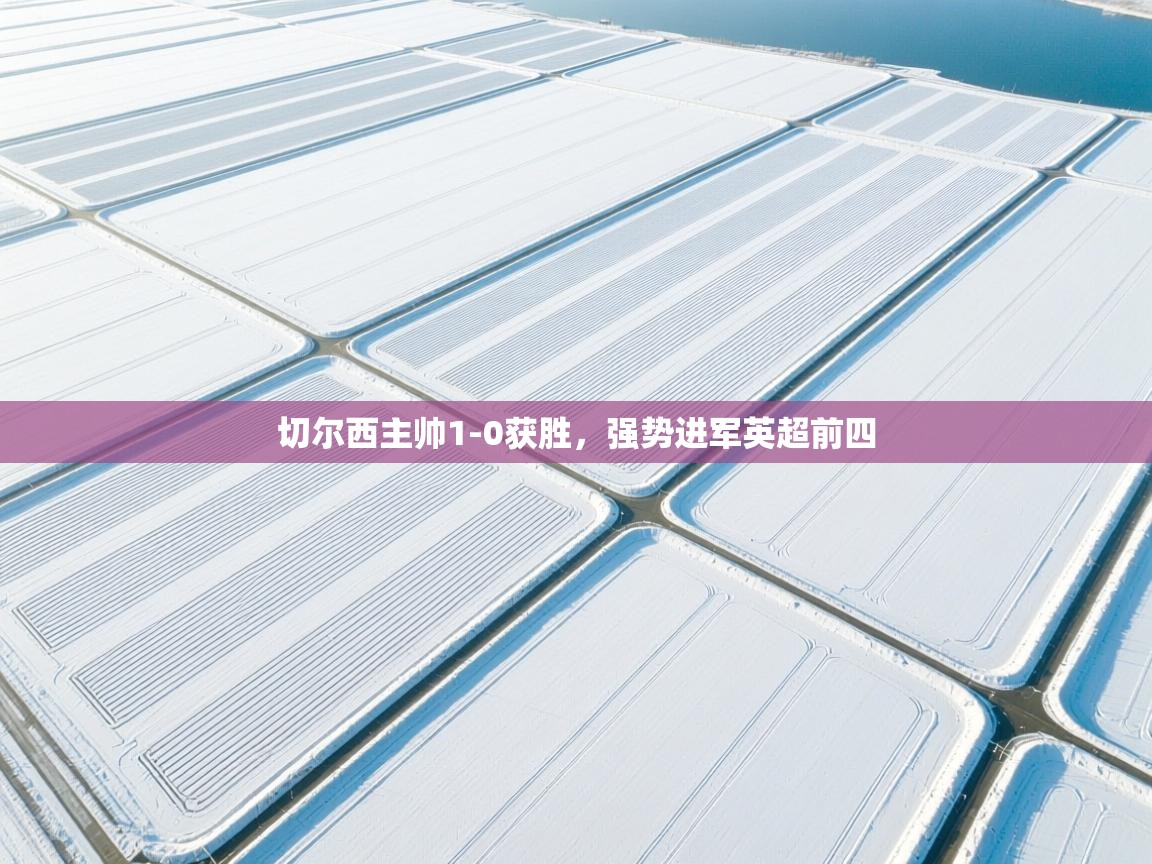 切尔西主帅1-0获胜，强势进军英超前四  第1张