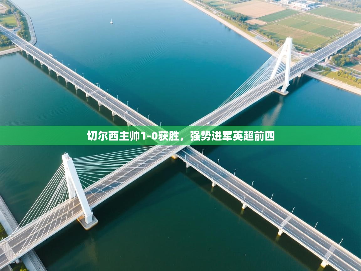 切尔西主帅1-0获胜，强势进军英超前四  第2张