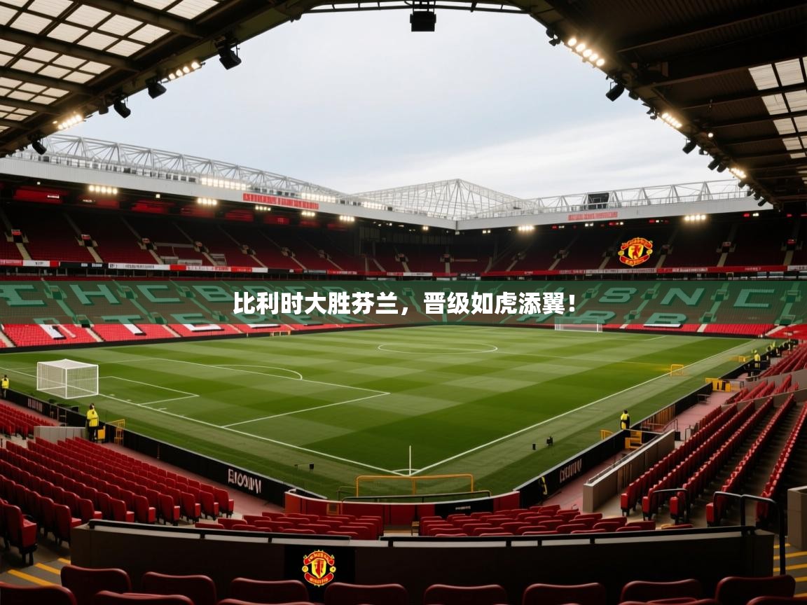 比利时大胜芬兰，晋级如虎添翼！  第1张