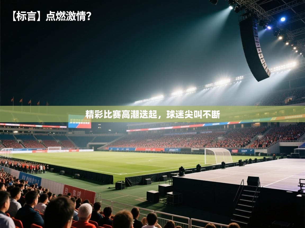 精彩比赛高潮迭起,球迷尖叫不断 第2张