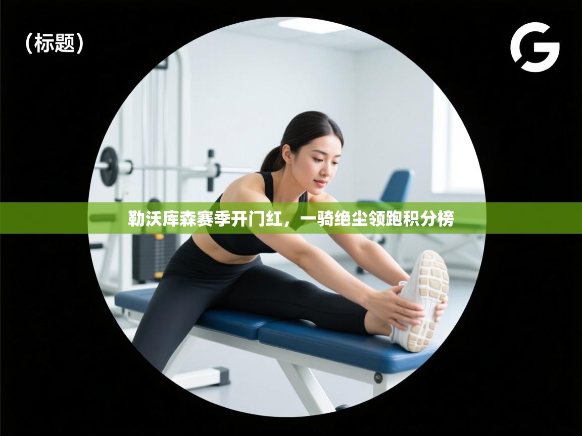 勒沃库森赛季开门红，一骑绝尘领跑积分榜  第1张