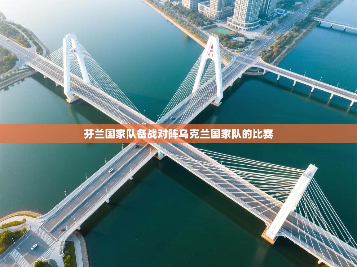 芬兰国家队备战对阵乌克兰国家队的比赛  第2张