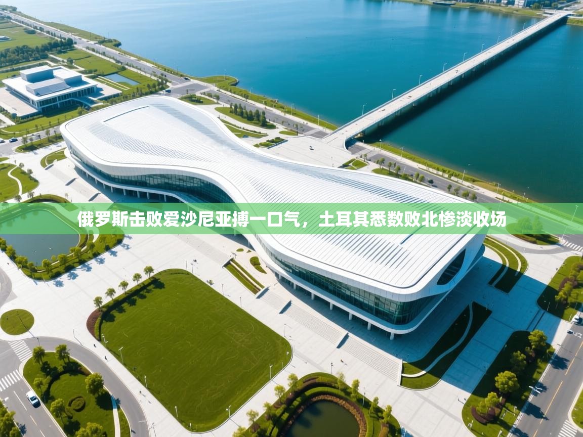 俄罗斯击败爱沙尼亚搏一口气，土耳其悉数败北惨淡收场  第2张