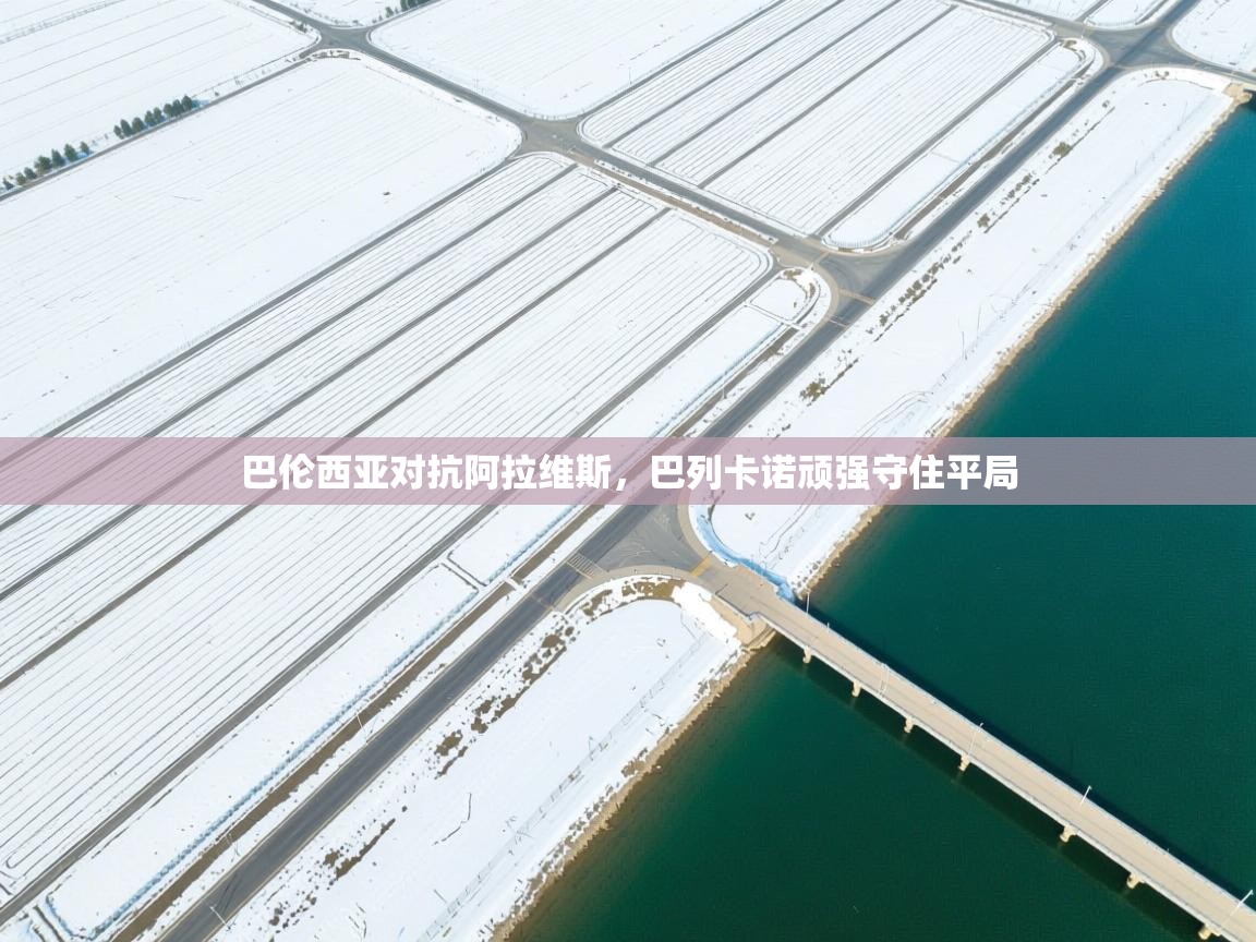 巴伦西亚对抗阿拉维斯，巴列卡诺顽强守住平局  第1张