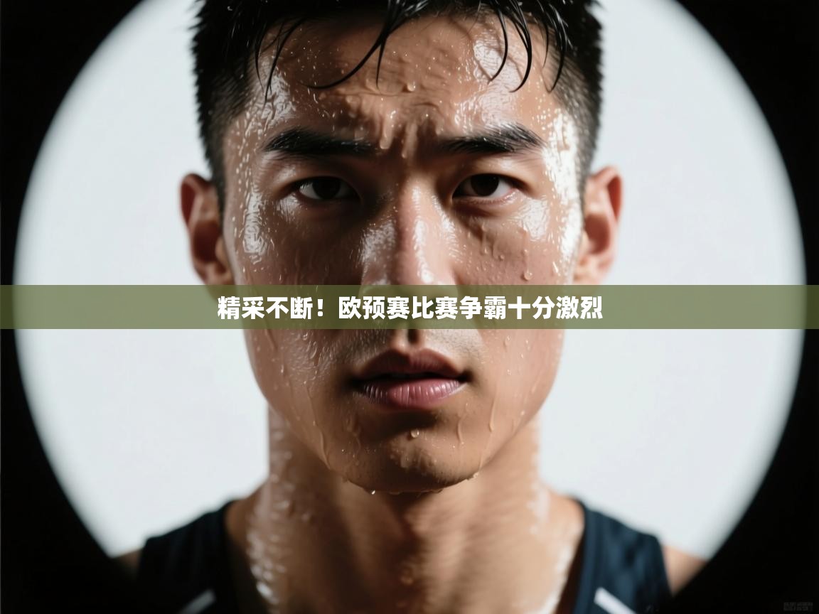 精采不断!欧预赛比赛争霸十分激烈 第1张