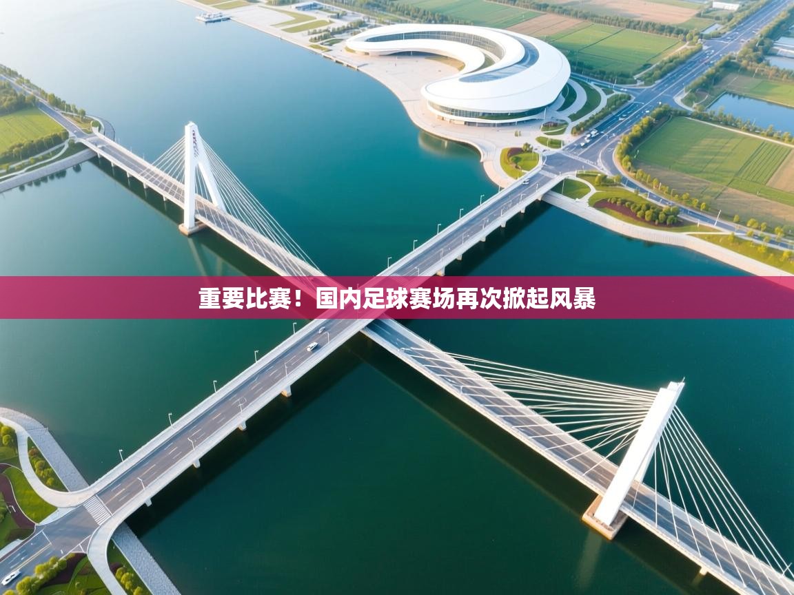 重要比赛！国内足球赛场再次掀起风暴  第1张